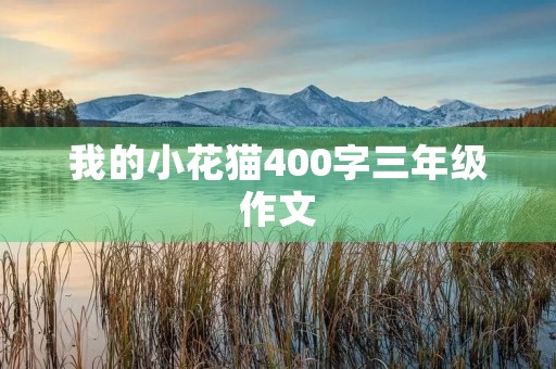 我的小花猫400字三年级作文 我的小花猫400字三年级作文