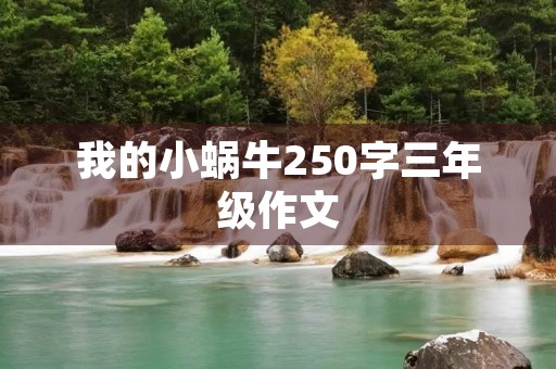 我的小蜗牛250字三年级作文 我的小蜗牛250字三年级作文