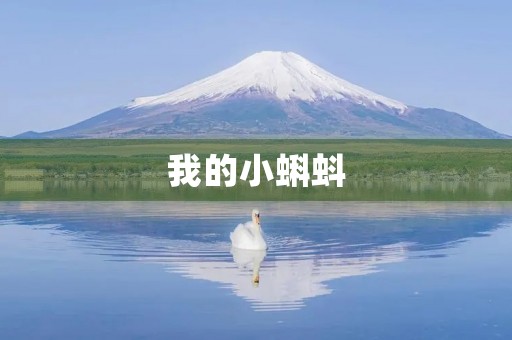 我的小蝌蚪