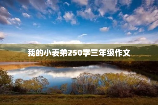 我的小表弟250字三年级作文 我的小表弟250字三年级作文
