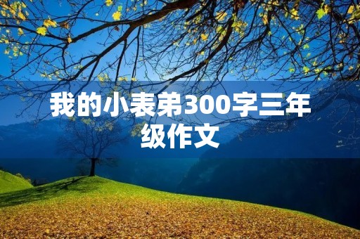 我的小表弟300字三年级作文