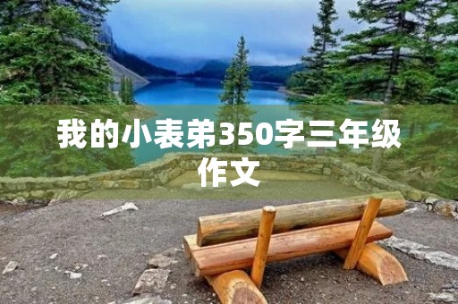 我的小表弟350字三年级作文