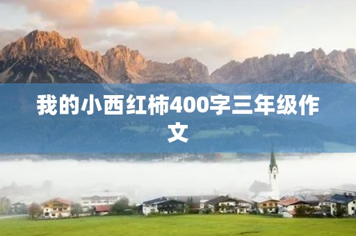 我的小西红柿400字三年级作文 我的小西红柿400字三年级作文