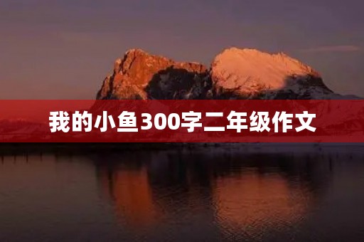 我的小鱼300字二年级作文 我的小鱼300字二年级作文