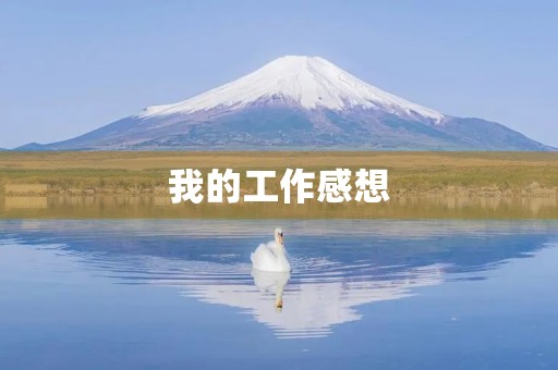我的工作感想