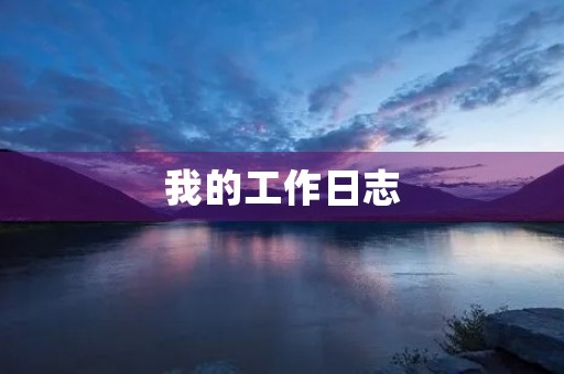 我的工作日志