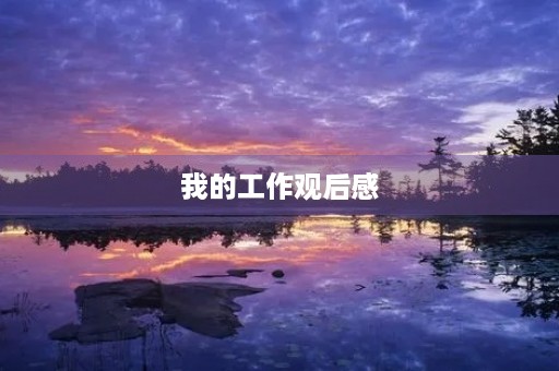 我的工作观后感