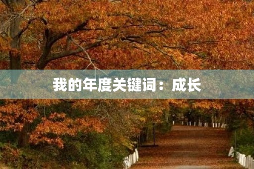 我的年度关键词:成长 我的年度关键词:成长