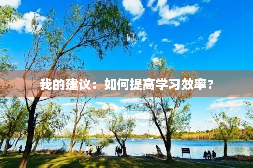 我的建议:如何提高学习效率? 我的建议:如何提高学习效率?