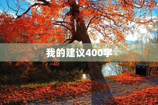 我的建议400字