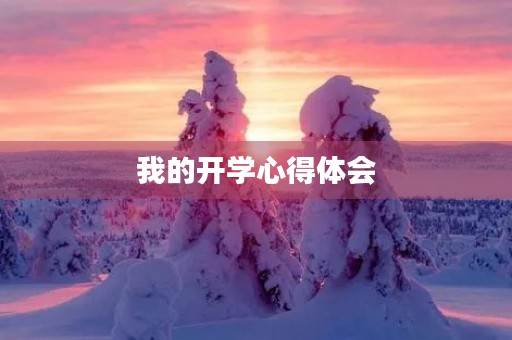 我的开学心得体会 我的开学心得体会