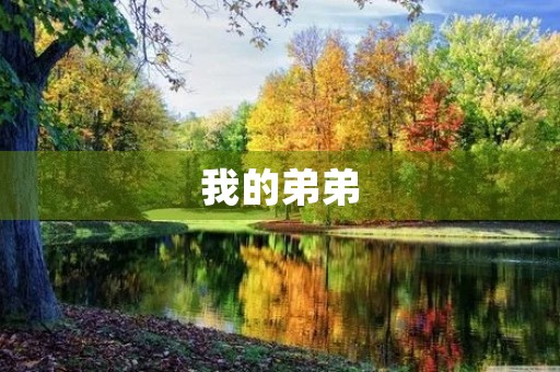 我的弟弟