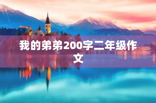 我的弟弟200字二年级作文