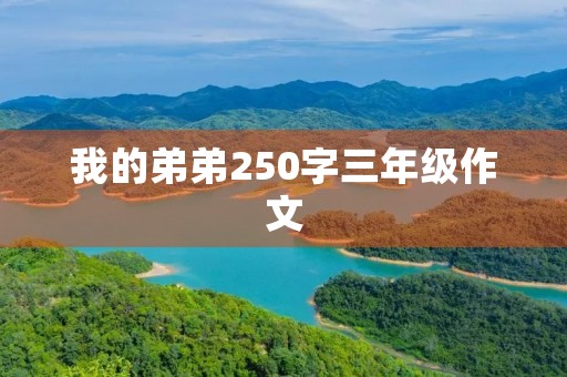 我的弟弟250字三年级作文
