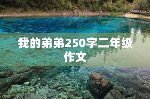 我的弟弟250字二年级作文 我的弟弟250字二年级作文