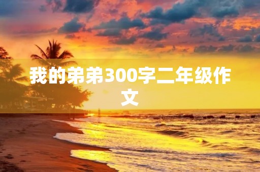 我的弟弟300字二年级作文