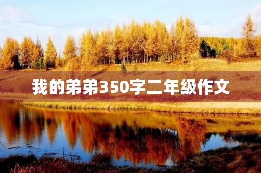 我的弟弟350字二年级作文