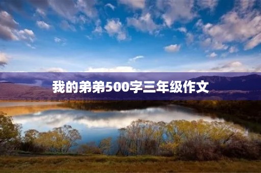 我的弟弟500字三年级作文 我的弟弟500字三年级作文