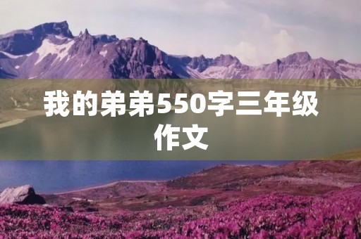 我的弟弟550字三年级作文