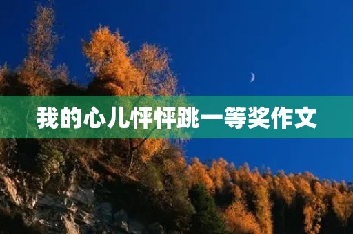 我的心儿怦怦跳一等奖作文