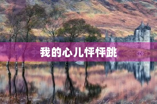 我的心儿怦怦跳