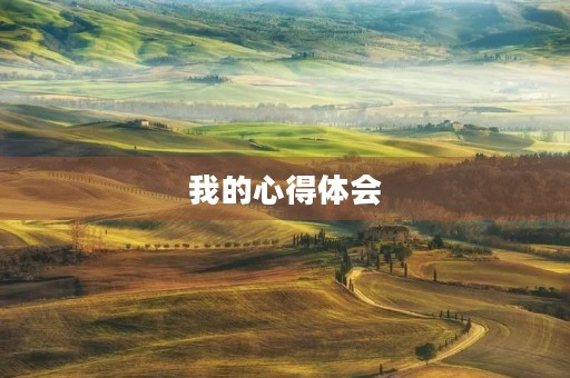 我的心得体会 我的心得体会
