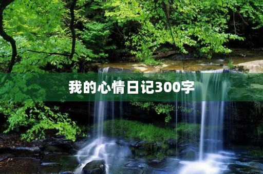 我的心情日记300字 我的心情日记300字