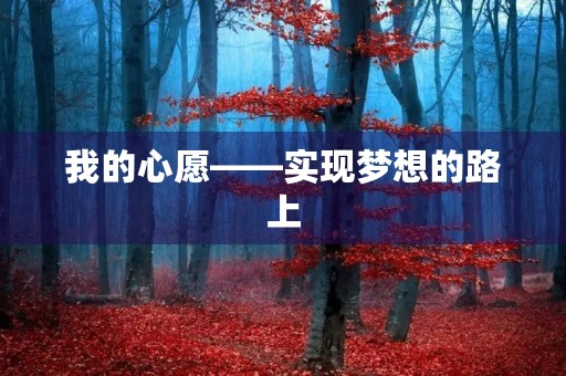 我的心愿——实现梦想的路上 我的心愿——实现梦想的路上