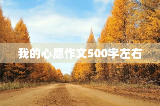 我的心愿作文500字左右