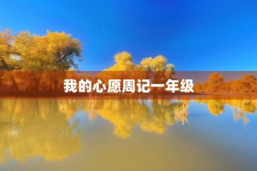 我的心愿周记一年级