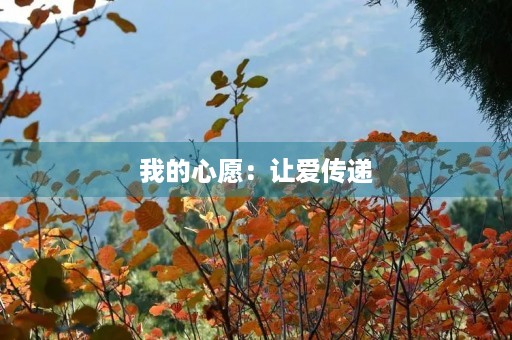 我的心愿：让爱传递，让世界更美好