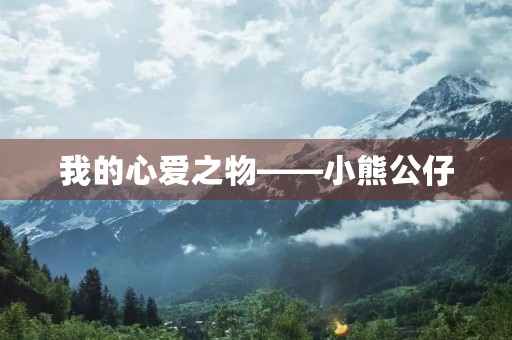 我的心爱之物——小熊公仔