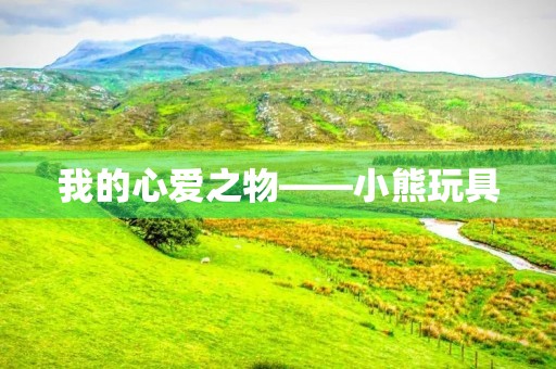 我的心爱之物——小熊玩具