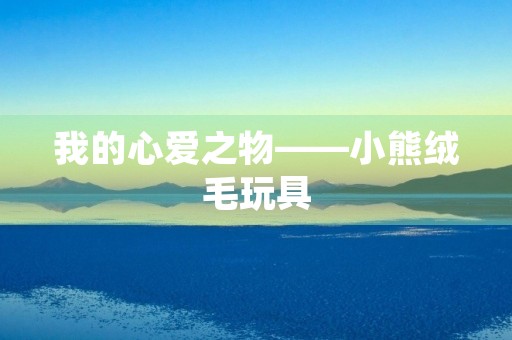 我的心爱之物——小熊绒毛玩具