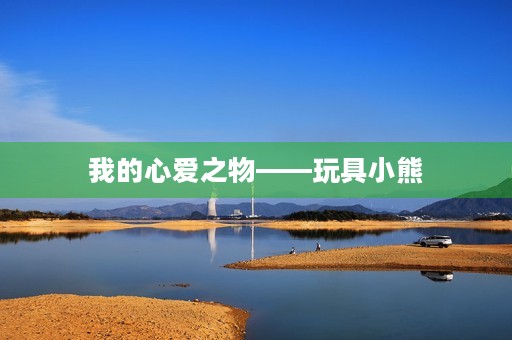 我的心爱之物——玩具小熊