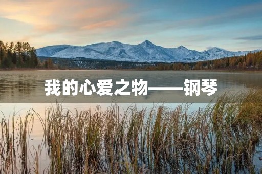 我的心爱之物——钢琴 我的心爱之物——钢琴