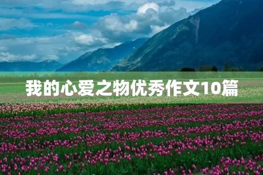 我的心爱之物优秀作文10篇 我的心爱之物优秀作文10篇