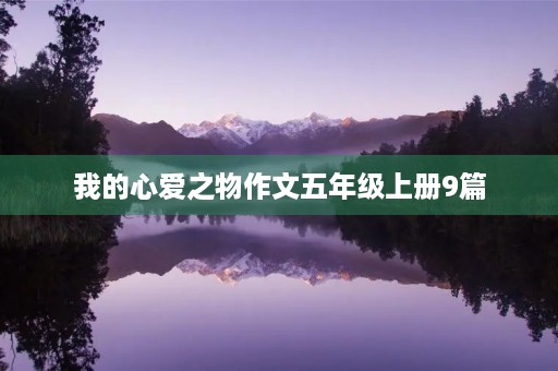 我的心爱之物作文五年级上册9篇