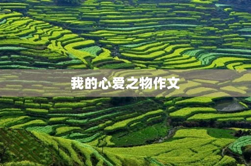 我的心爱之物作文 我的心爱之物作文