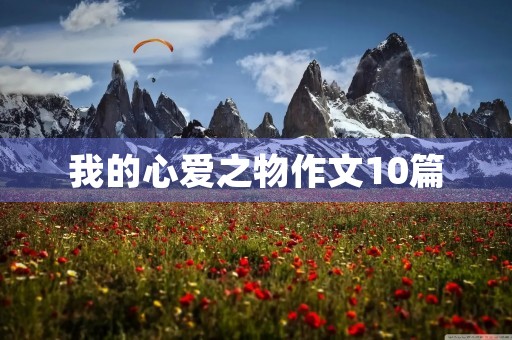 我的心爱之物作文10篇