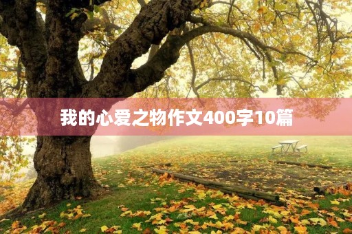 我的心爱之物作文400字10篇 我的心爱之物作文400字10篇