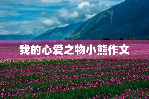 我的心爱之物小熊作文