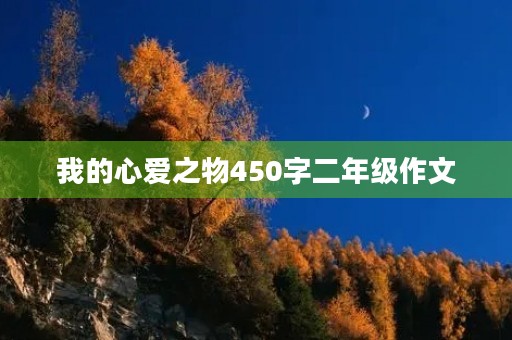我的心爱之物450字二年级作文 我的心爱之物450字二年级作文