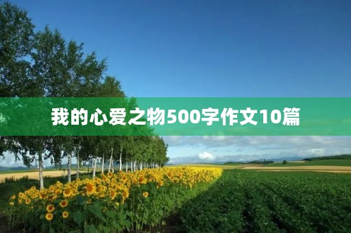 我的心爱之物500字作文10篇 我的心爱之物500字作文10篇