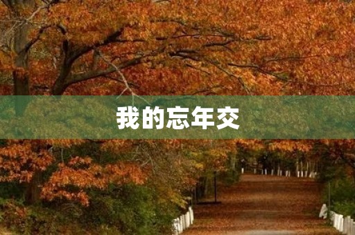 我的忘年交
