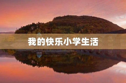 我的快乐小学生活