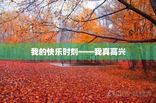 我的快乐时刻——我真高兴 我的快乐时刻——我真高兴
