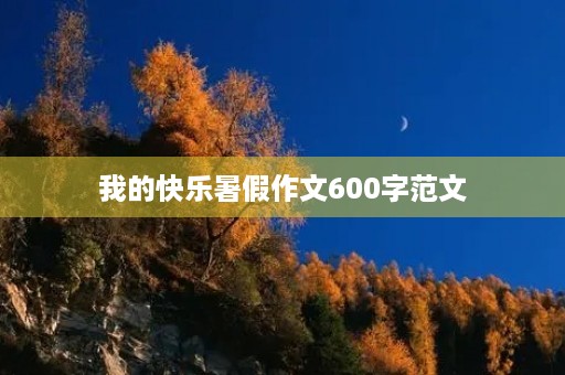 我的快乐暑假作文600字范文