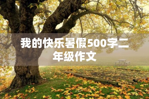 我的快乐暑假500字二年级作文