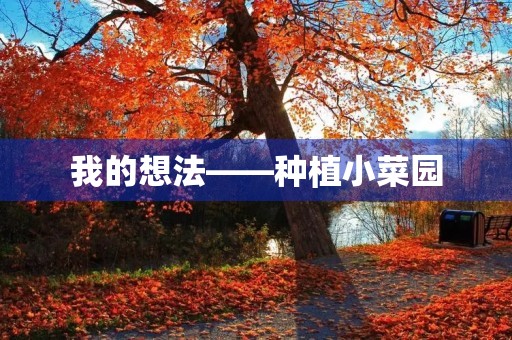 我的想法——种植小菜园
